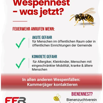 WhatsApp Image 2026-08-12 at 07.48.22.jpeg